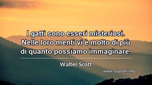 “I gatti sono esseri misteriosi. Nelle loro menti vi è molto di più di quanto possiamo immaginare.”