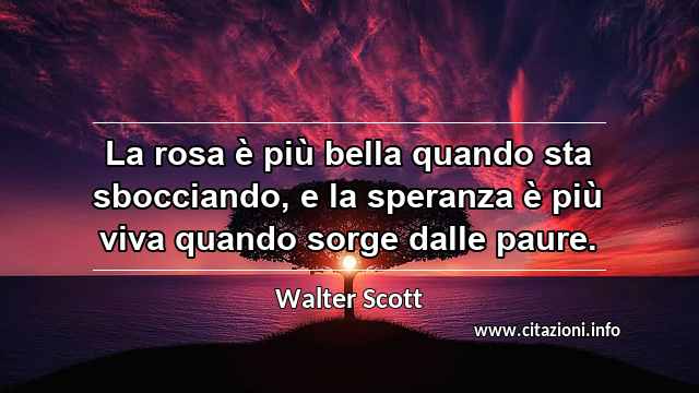 “La rosa è più bella quando sta sbocciando, e la speranza è più viva quando sorge dalle paure.”