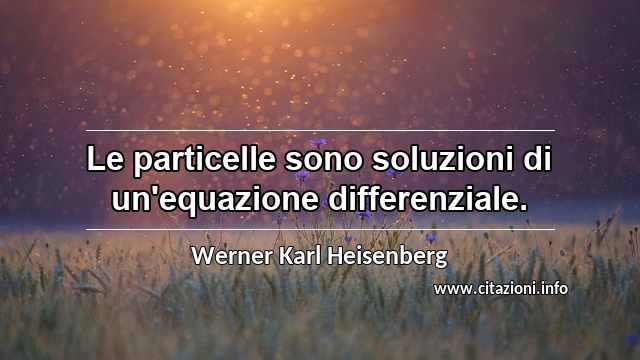 “Le particelle sono soluzioni di un'equazione differenziale.”