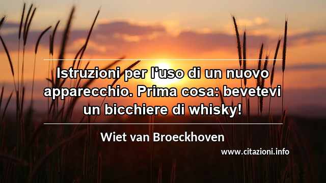 “Istruzioni per l'uso di un nuovo apparecchio. Prima cosa: bevetevi un bicchiere di whisky!”