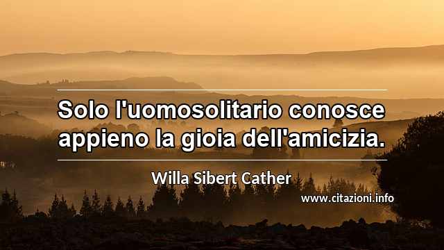 “Solo l'uomosolitario conosce appieno la gioia dell'amicizia.”
