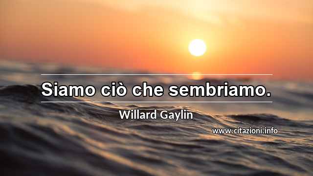 “Siamo ciò che sembriamo. ”
