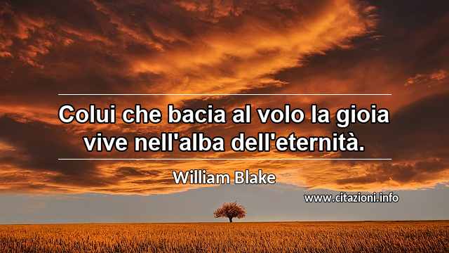 “Colui che bacia al volo la gioia vive nell'alba dell'eternità.”