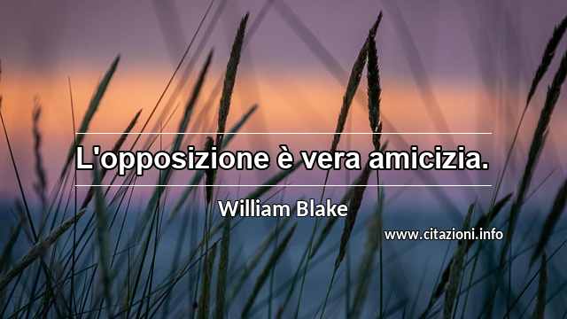 “L'opposizione è vera amicizia.”