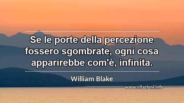 “Se le porte della percezione fossero sgombrate, ogni cosa apparirebbe com'è, infinita.”