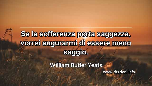 “Se la sofferenza porta saggezza, vorrei augurarmi di essere meno saggio.”