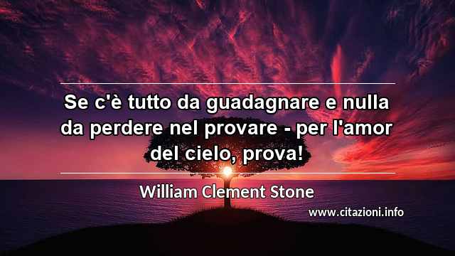 “Se c'è tutto da guadagnare e nulla da perdere nel provare - per l'amor del cielo, prova!”