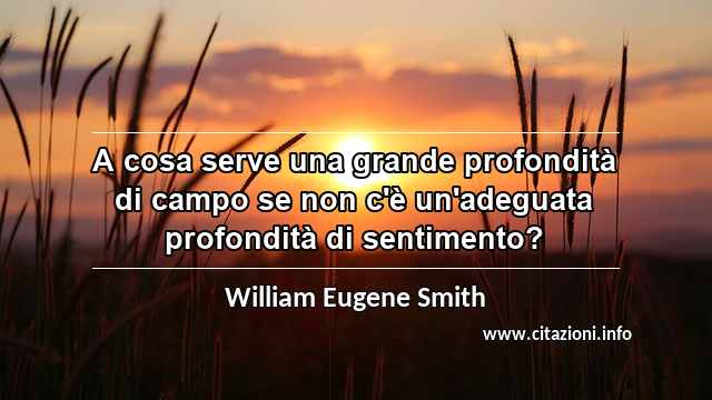 “A cosa serve una grande profondità di campo se non c'è un'adeguata profondità di sentimento?”