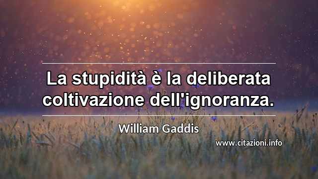 “La stupidità è la deliberata coltivazione dell'ignoranza.”