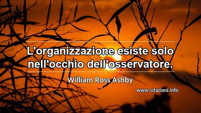 “L'organizzazione esiste solo nell'occhio dell'osservatore.”