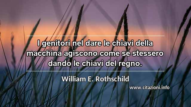 “I genitori nel dare le chiavi della macchina agiscono come se stessero dando le chiavi del regno.”