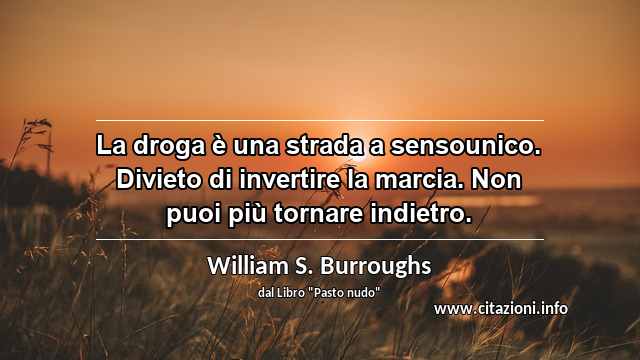 “La droga è una strada a sensounico. Divieto di invertire la marcia. Non puoi più tornare indietro.”