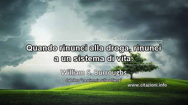 “Quando rinunci alla droga, rinunci a un sistema di vita.”