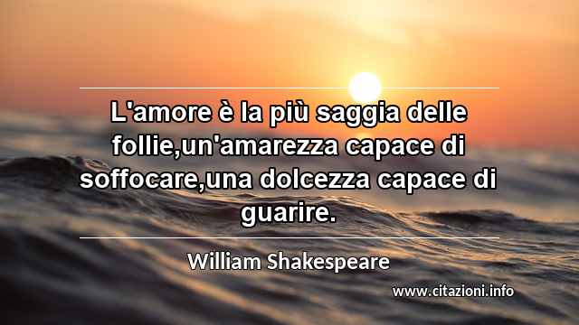 “L'amore è la più saggia delle follie,un'amarezza capace di soffocare,una dolcezza capace di guarire.”