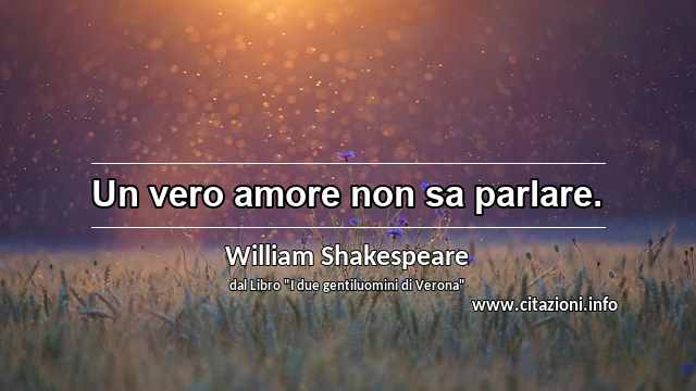 “Un vero amore non sa parlare.”