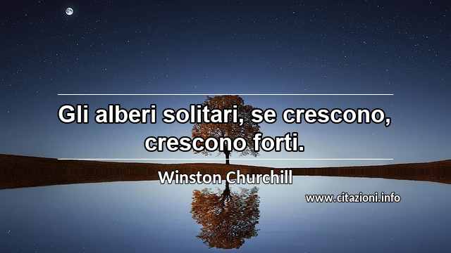 “Gli alberi solitari, se crescono, crescono forti.”