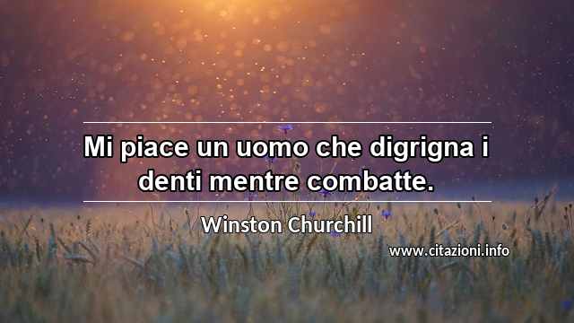 “Mi piace un uomo che digrigna i denti mentre combatte.”