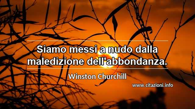 “Siamo messi a nudo dalla maledizione dell'abbondanza.”