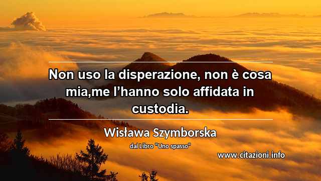 “Non uso la disperazione, non è cosa mia,me l’hanno solo affidata in custodia.”