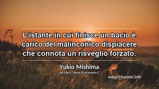 “L’istante in cui finisce un bacio è carico del malinconico dispiacere che connota un risveglio forzato.”