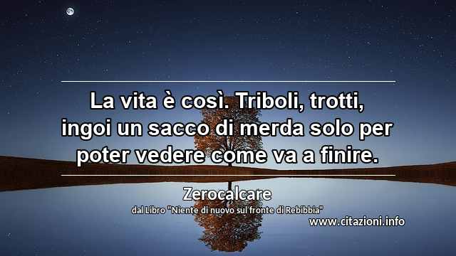 “La vita è così. Triboli, trotti, ingoi un sacco di merda solo per poter vedere come va a finire.”
